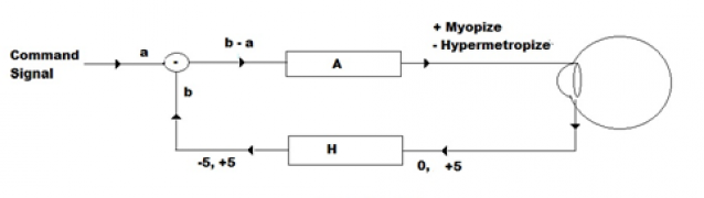 Myopia feedback loop, from Medina 1980